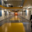 Lorraine: 11 personnes interpellées pour un trafic de drogue piloté depuis une prison