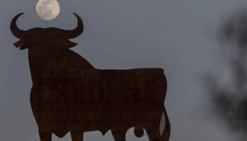 Los cachorros de la izquierda abertzale terminan con el último Toro de Osborne en Navarra