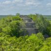 Lost Mayan city discovered by accident in Mexican jungle