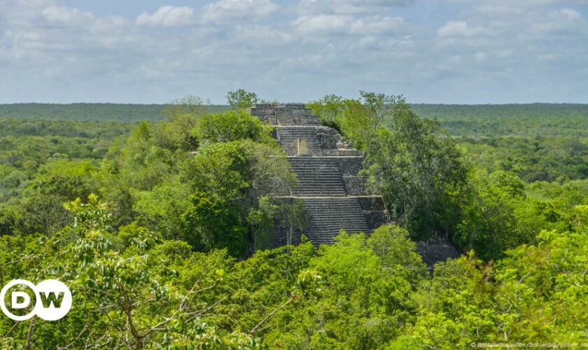 Lost Mayan city discovered by accident in Mexican jungle