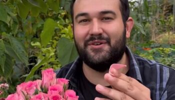 'Magical' way to make rose water with left over autumn petals to elevate your baking