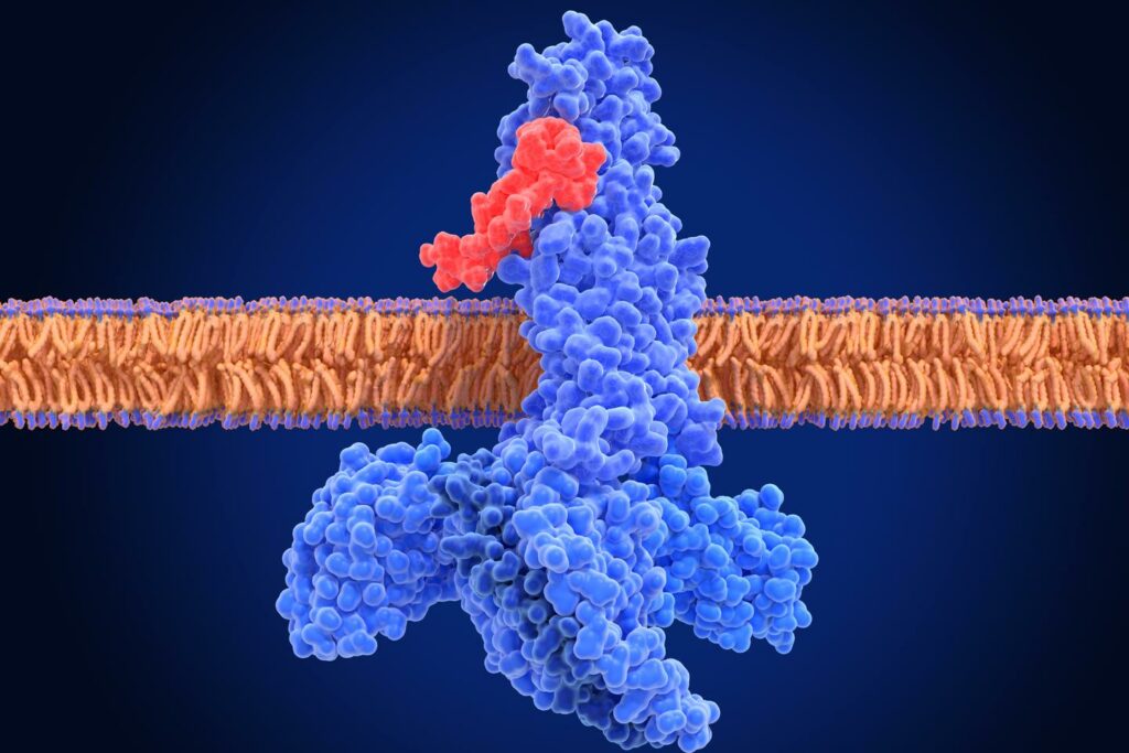 Maladie d’Alzheimer : un antidiabétique pourrait réduire la progression du déclin cognitif