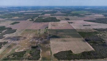 « Malgré leurs multiples interactions, biodiversité, climat et désertification sont traités dans des enceintes séparées »