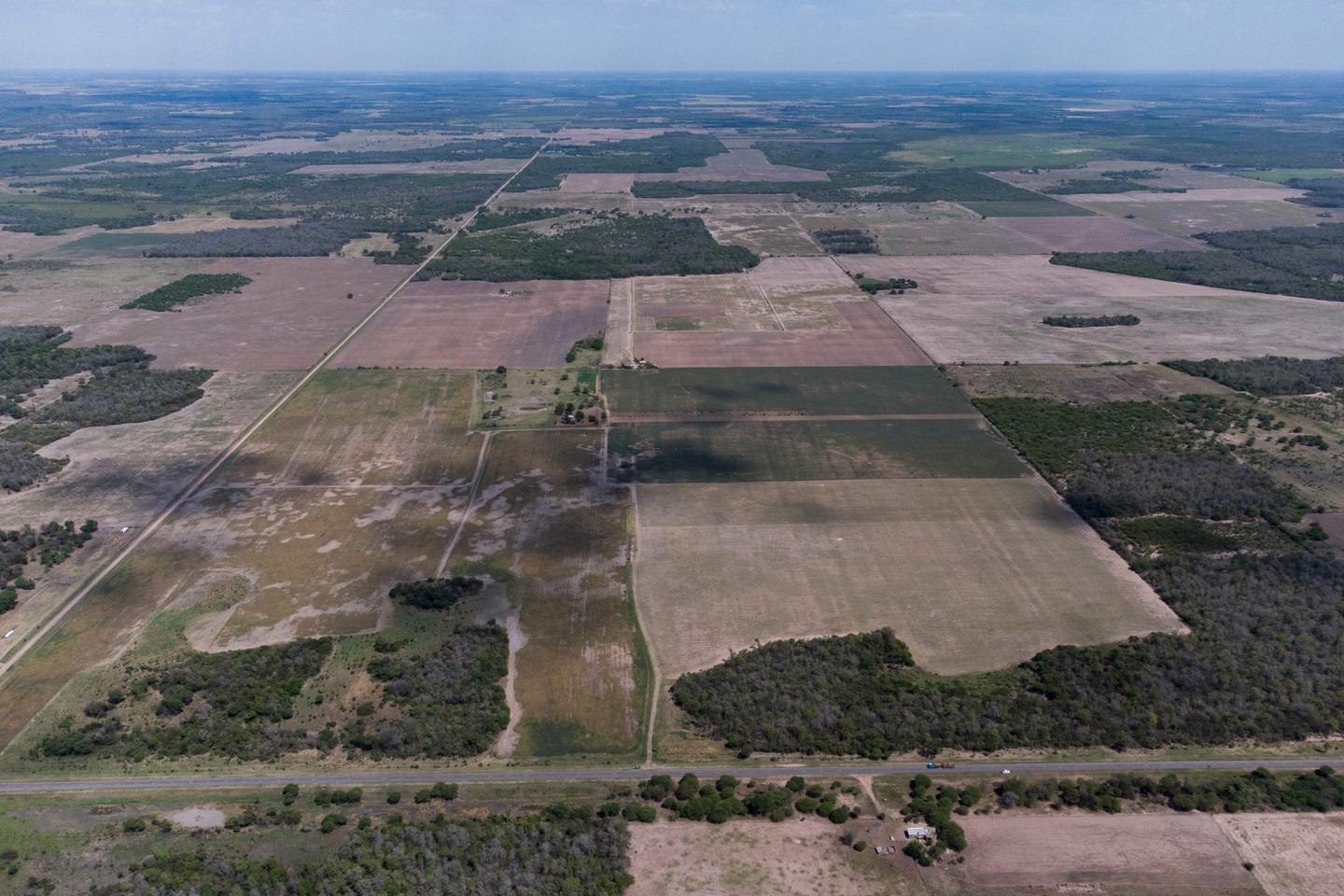 « Malgré leurs multiples interactions, biodiversité, climat et désertification sont traités dans des enceintes séparées »