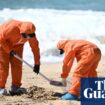 Mysterious tar balls washing ashore force closure of seven beaches in Sydney including Bondi