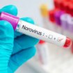 Norovirus vaccine: Everything we know about jab that could end winter vomiting bug for good