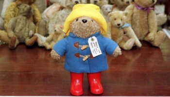 Paddington Bär: Endlich echter Engländer