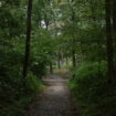 Paris : une joggeuse porte plainte pour une tentative de viol dans le Bois de Boulogne