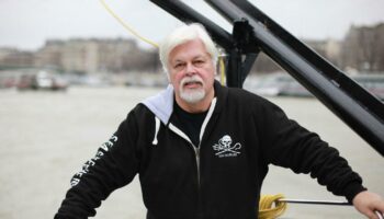 Paul Watson, fondateur de Sea Shepherd, demande l’asile politique à la France