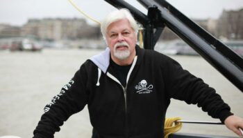 Paul Watson, le vieil homme et l’amer