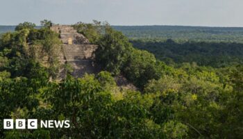 PhD student finds lost city in Mexico jungle by accident