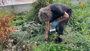 Pollution aux dioxines : à Ivry, des chercheurs néerlandais continuent de creuser autour de l’incinérateur