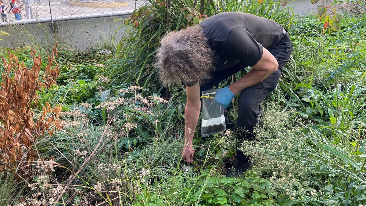 Pollution aux dioxines : à Ivry, des chercheurs néerlandais continuent de creuser autour de l’incinérateur