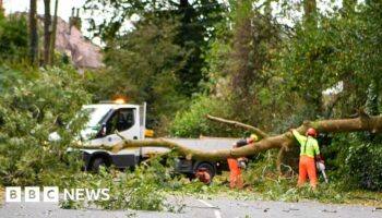 Power cuts and cancelled flights amid storm disruption