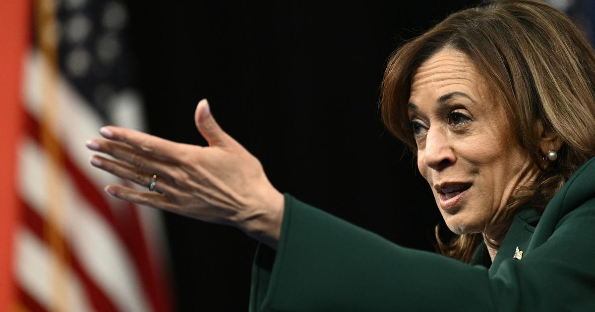 Présidentielle américaine: à Dearborn, la communauté arabe menace de «punir» Kamala Harris