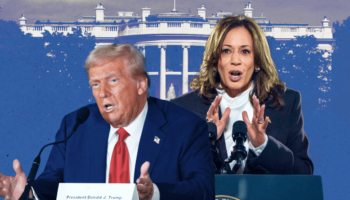 Présidentielle américaine : économie, armes, international… comparez les programmes de Kamala Harris et de Donald Trump