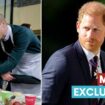 Prince Harry 'blinded by sour grapes' as Prince William's ITV show 'proves him wrong'