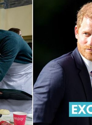 Prince Harry 'blinded by sour grapes' as Prince William's ITV show 'proves him wrong'