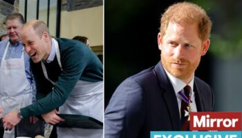 Prince Harry 'blinded by sour grapes' as Prince William's ITV show 'proves him wrong'