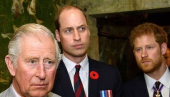 Prince Harry has always hated Charles' response to family disputes with William for major reason