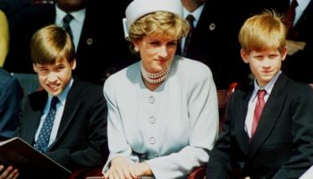 Princess Diana would be furious Harry left William to pursue her legacy alone, expert says