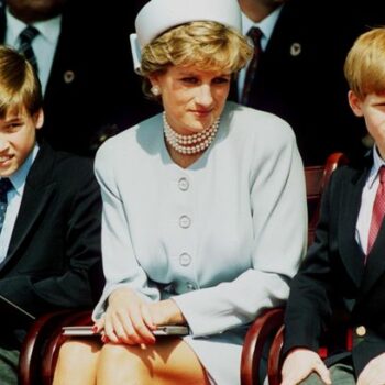 Princess Diana would be furious Harry left William to pursue her legacy alone, expert says