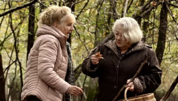 Quand Ozon et Guiraudie partent à la cueillette aux champignons