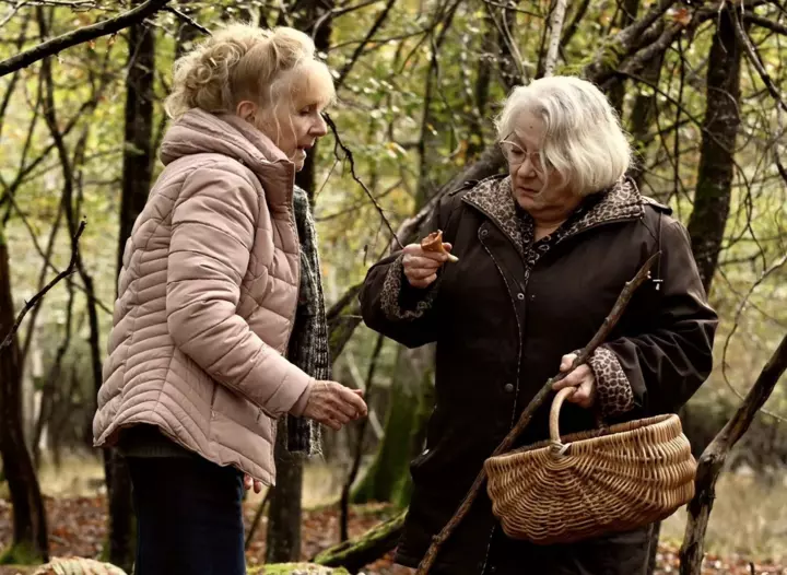 Quand Ozon et Guiraudie partent à la cueillette aux champignons