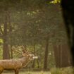 Quand vient l’automne : en forêt ou au bord de l’eau, cinq activités nature et familiales