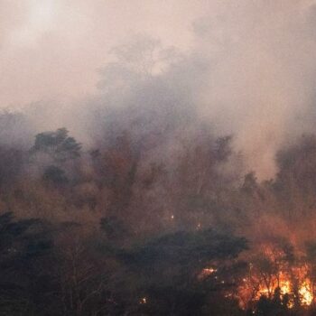 Riesige Brände in Brasilien lassen Regenwald schrumpfen