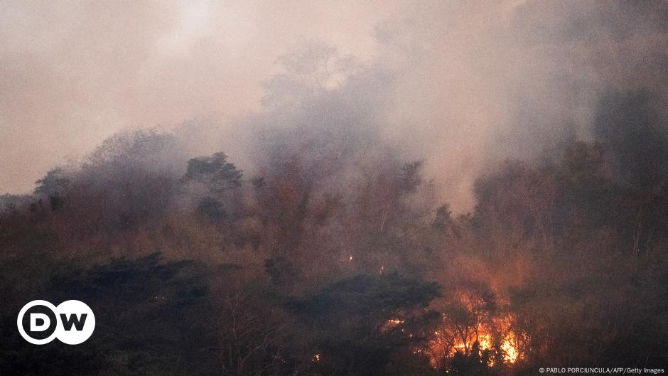 Riesige Brände in Brasilien lassen Regenwald schrumpfen