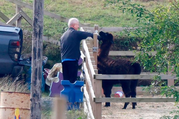 Road rage killer Kenneth Noye spotted tending to pet alpaca