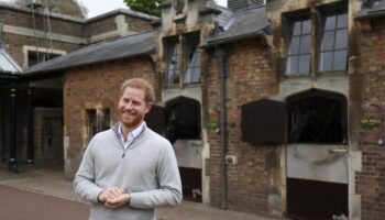 Royal baby : devenu père, le prince Harry évoque une «expérience incroyable»