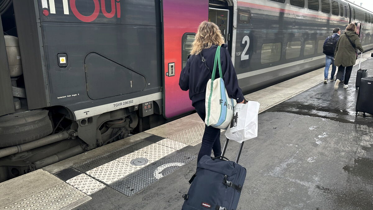 SNCF : aucun TGV entre Paris et Lyon pendant quatre jours en novembre, la circulation dans le Sud-Est très perturbée