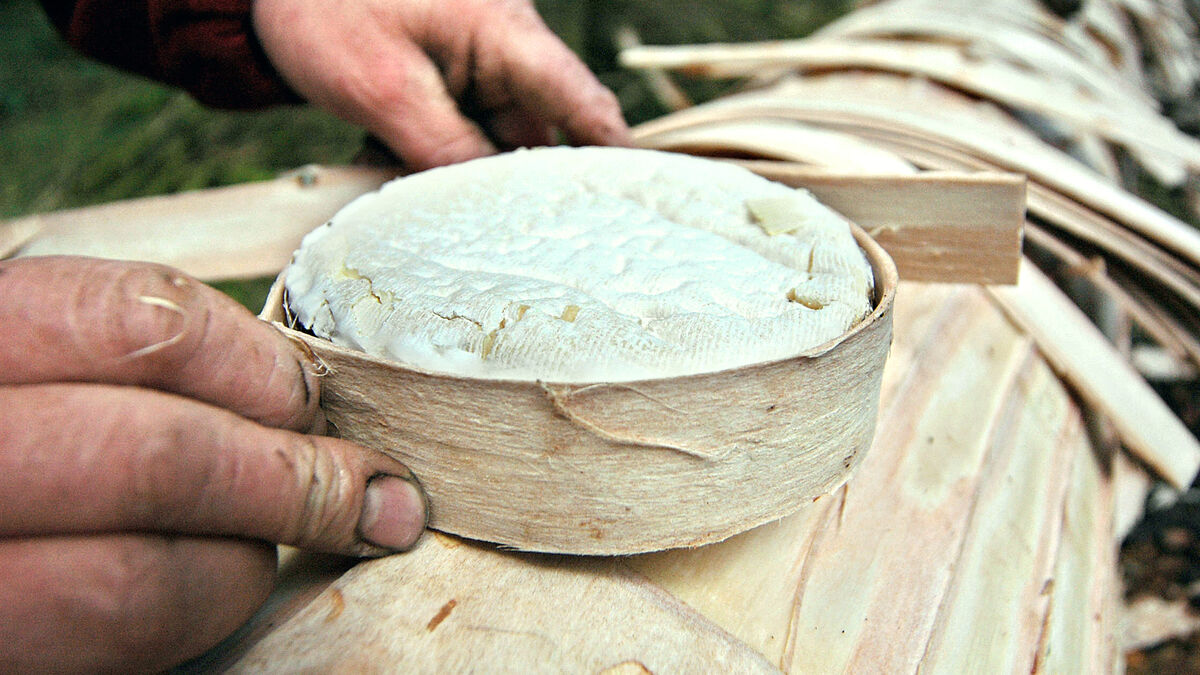 Salmonellose : Carrefour, Auchan, Leclerc, Intermarché… des fromages Mont d’or rappelés partout en France