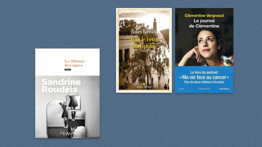 Sandrine Roudeix, Ruben Barrouk, Clémentine Vergnaud… Notre sélection livres de la semaine