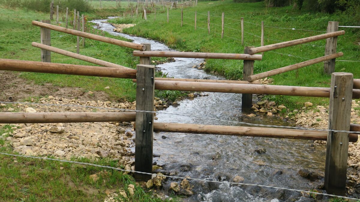 « Sans ces travaux, il y aurait eu des inondations » : en Essonne, la renaturation réussie du ru de Vauhallan