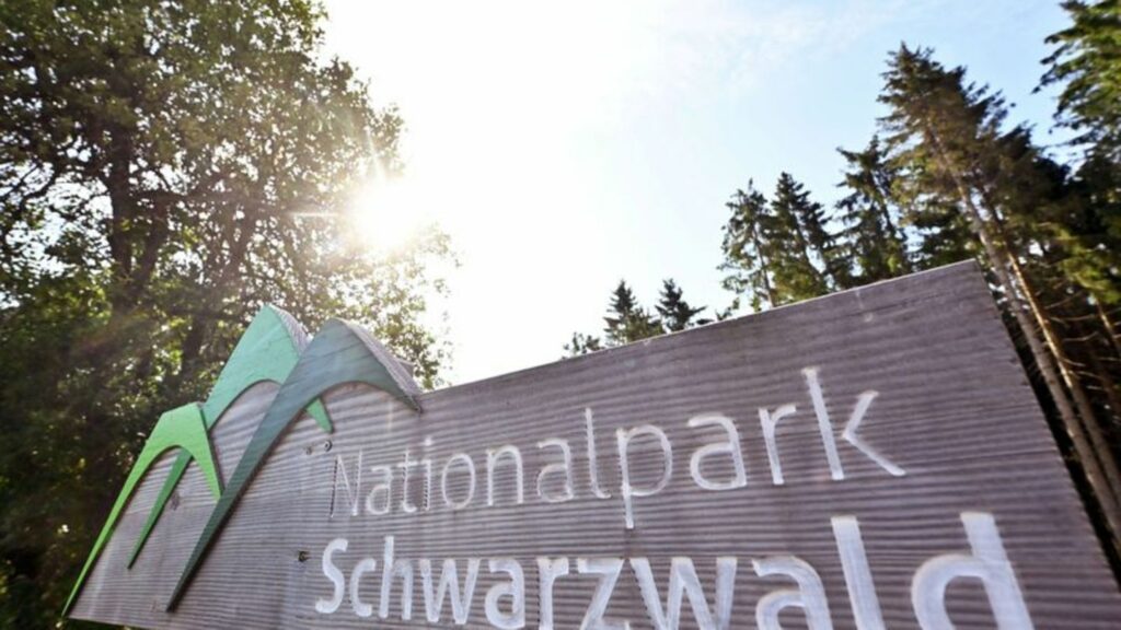 Nicht jede Kommune wurde bei der Frage der Erweiterung des Nationalparks eingebunden. (Archivbild) Foto: Uli Deck/dpa