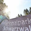 Nicht jede Kommune wurde bei der Frage der Erweiterung des Nationalparks eingebunden. (Archivbild) Foto: Uli Deck/dpa