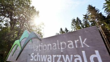 Nicht jede Kommune wurde bei der Frage der Erweiterung des Nationalparks eingebunden. (Archivbild) Foto: Uli Deck/dpa