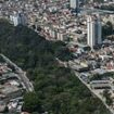 Seeing is be-leaf-ing! Man single-handedly plants 40,000 trees on derelict city-centre land and turns it into an urban forest that's home to 45 species of bird