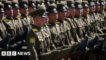 Seoul wants N Korean troops to leave Russia immediately