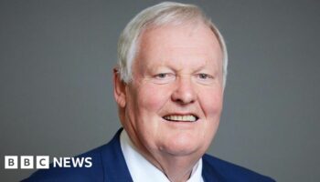 Sinn Féin employee suspended after damage to portrait