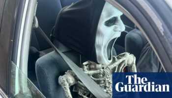 Skeleton crew: California driver nabbed for using carpool lane with plastic effigy