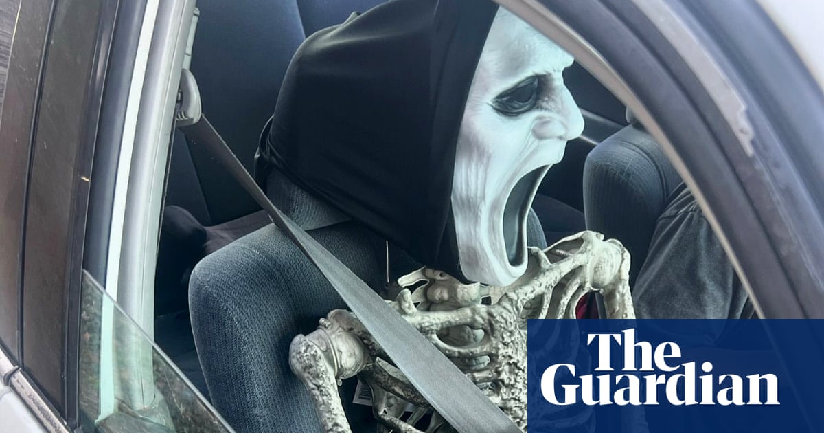 Skeleton crew: California driver nabbed for using carpool lane with plastic effigy