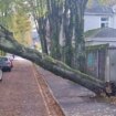 Storm Ashley sparks major power cuts as tens of thousands left without electricity