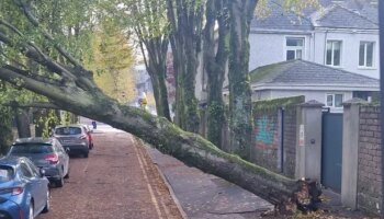 Storm Ashley sparks major power cuts as tens of thousands left without electricity