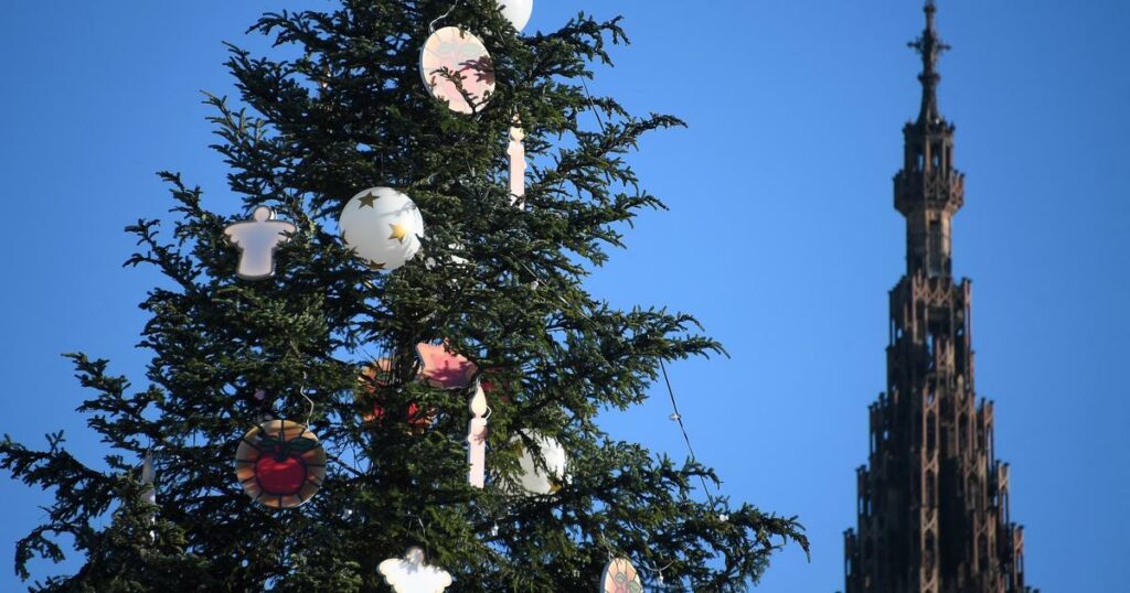 Strasbourg : découvrez le thème surprenant du sapin de Noël 2024