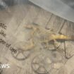 Student finds scorpion crawling inside Shein parcel