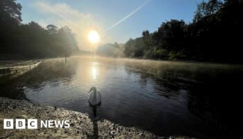 Temperatures forecast to top 20C in mild, wet week